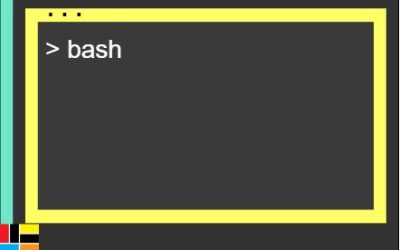 bash Shell Command Recall Cheat Sheet and How To Guide