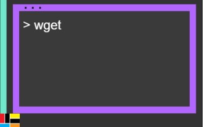 wget Cheat Sheet and How To Guide